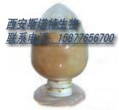 供应黑芝麻提取物Sesamum indicum P.E